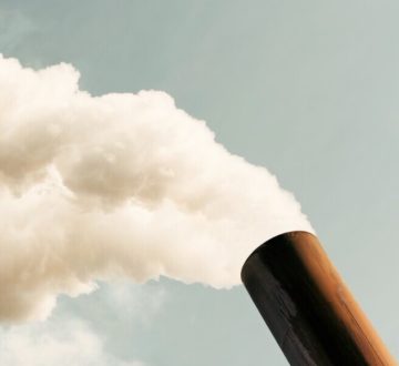 ¿Cuáles serían los efectos de fijar un precio internacional del CO2?