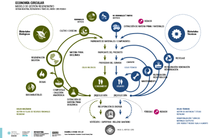 Economía circular modelo gestión regenerativo