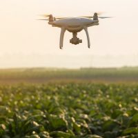 El futuro del sector agro: granjas con robots y empresas lácteas que miden su huella de carbono