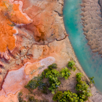 El Sismógrafo de la ESG: la situación de la Tierra no mejora, 25 de los 35 signos vitales del planeta están al límite, según los científicos