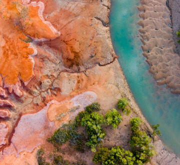 El Sismógrafo de la ESG: la situación de la Tierra no mejora, 25 de los 35 signos vitales del planeta están al límite, según los científicos