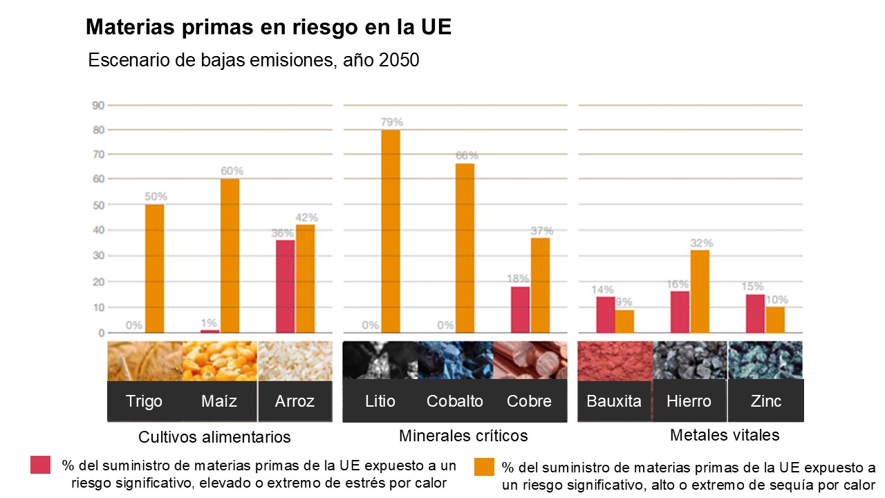 Gráfico de materias primas en riesgo en la UE