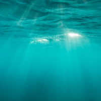 El sismógrafo de la ESG: la UE lanza un plan de protección de los océanos con metas de restauración, pesca sostenible y mil millones de inversión