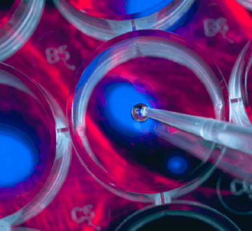 El Sensor de la IA: las farmacéuticas se asocian con la IA